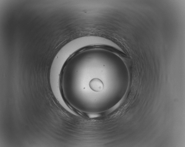 X0000076380576200610061128