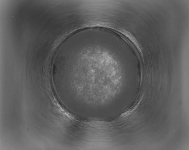 X0000076380577200610061127