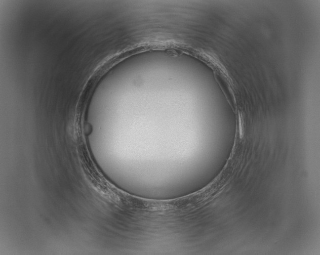 X0000076380579200610061127