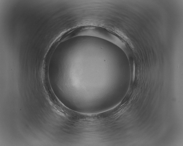 X0000076380580200610061127