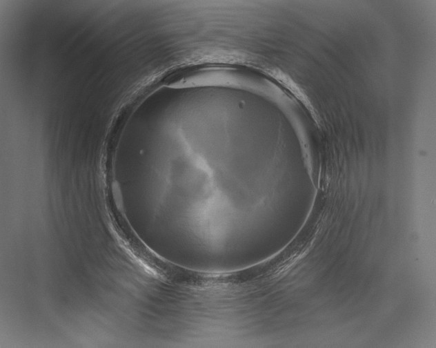 X0000076380581200610061127