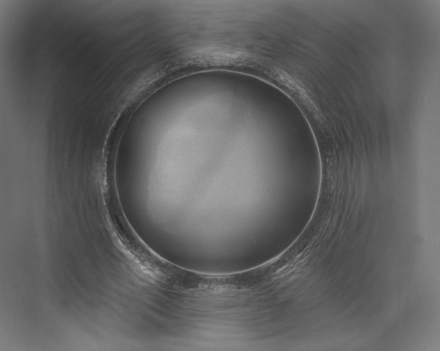 X0000076380582200610061127