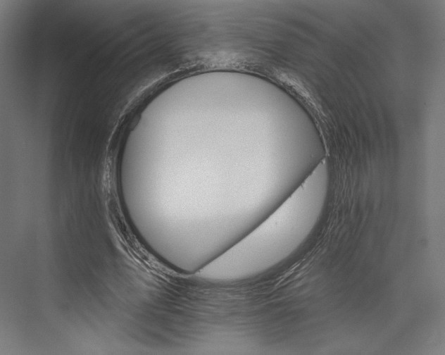 X0000076380583200610061127