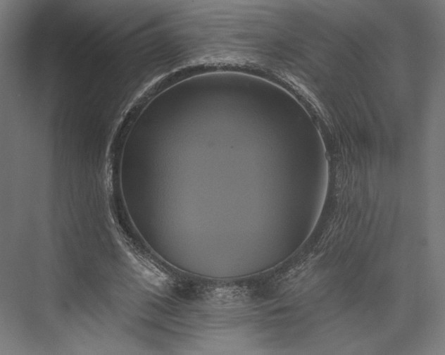 X0000076380584200610061127