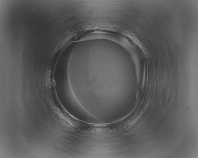 X0000076380585200610061127