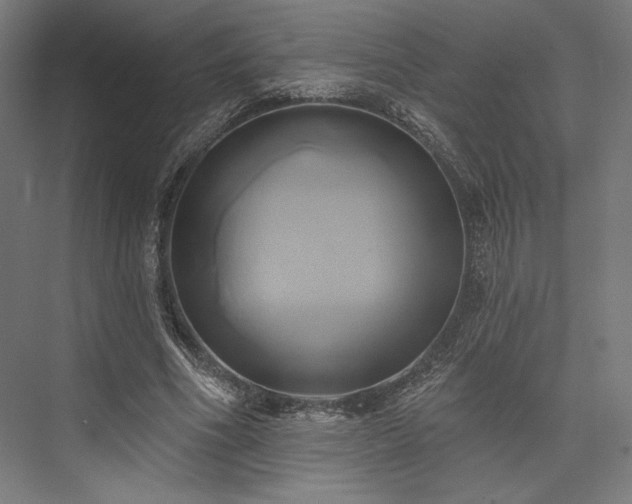 X0000076380586200610061127