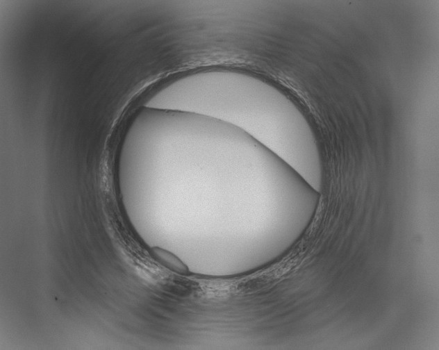 X0000076380587200610061127