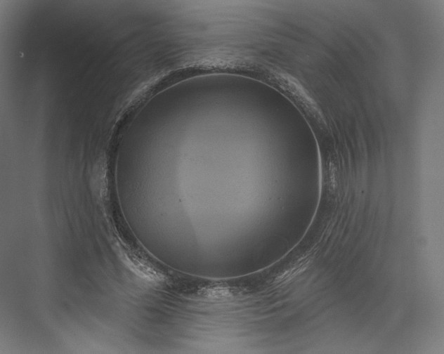 X0000076380588200610061127