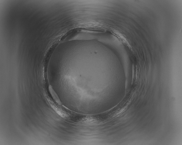 X0000076380589200610061127