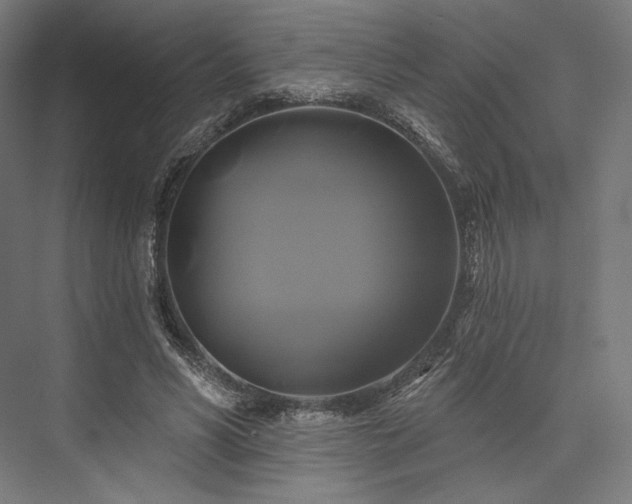 X0000076380590200610061127