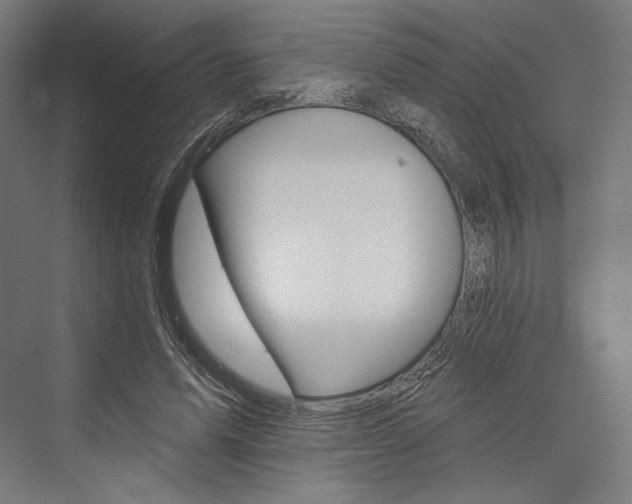 X0000076380591200610061127