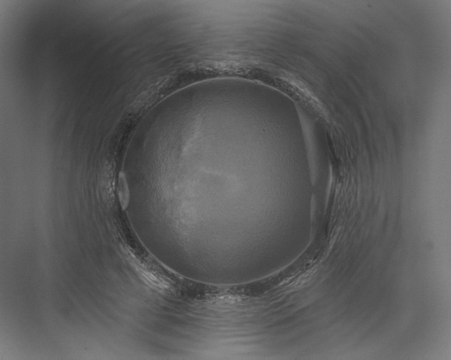 X0000076380593200610061126