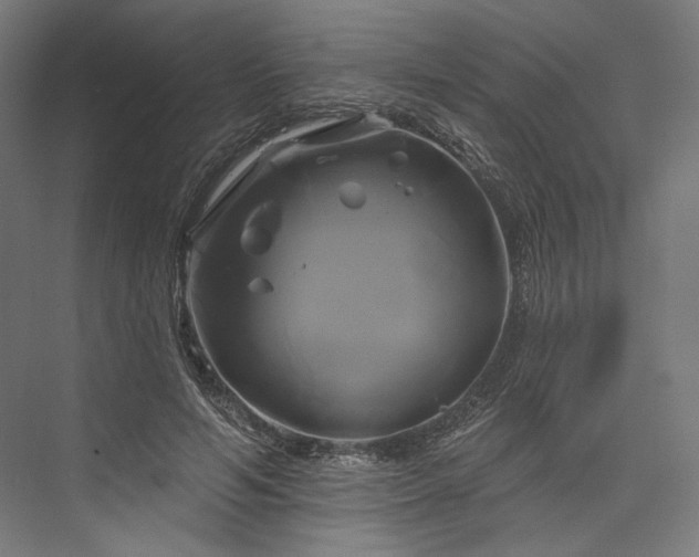 X0000076380594200610061126