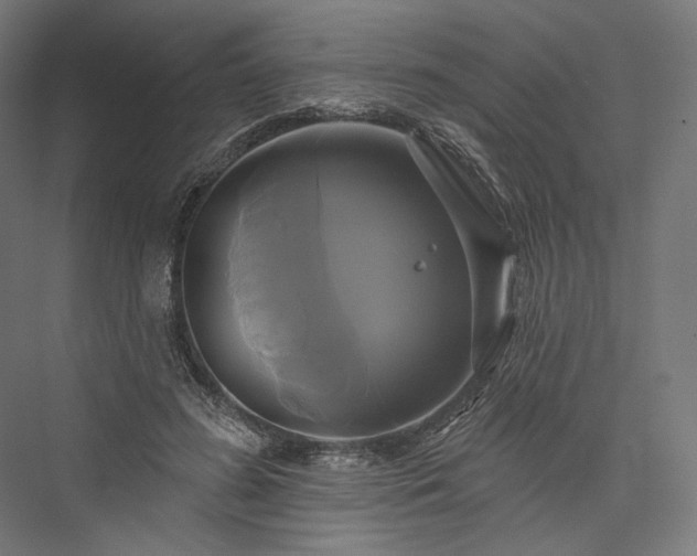 X0000076380596200610061126