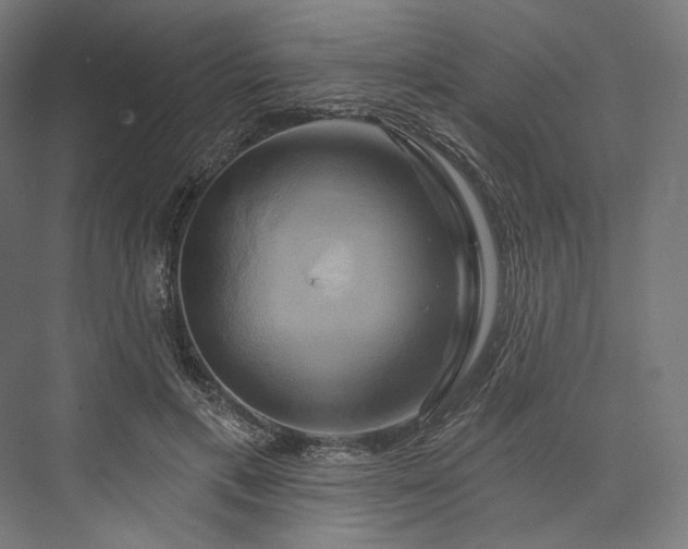 X0000076380597200610061126