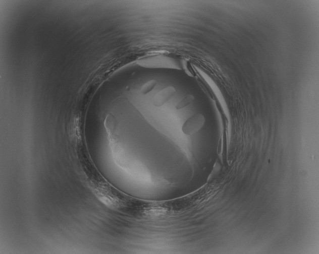 X0000076380598200610061126