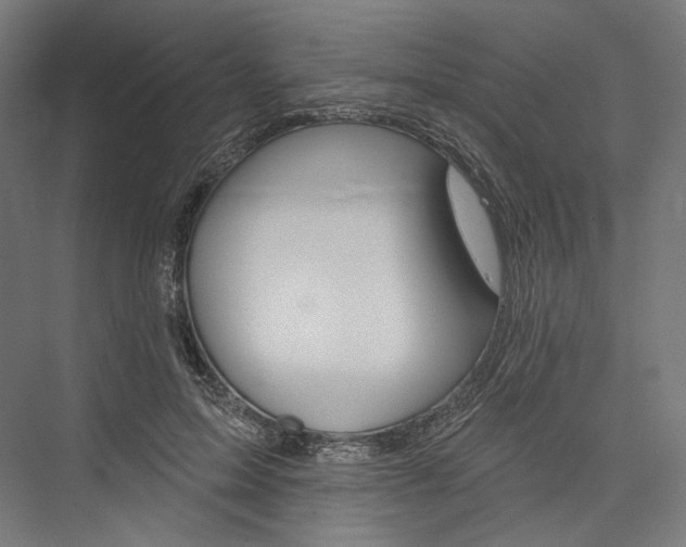 X0000076380599200610061126