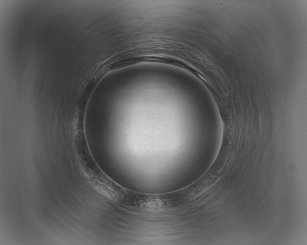 X0000076380600200610061126