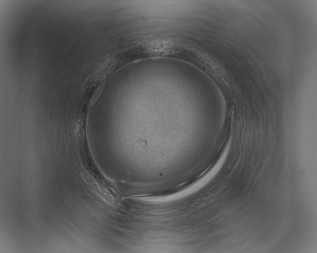 X0000076380601200610061126