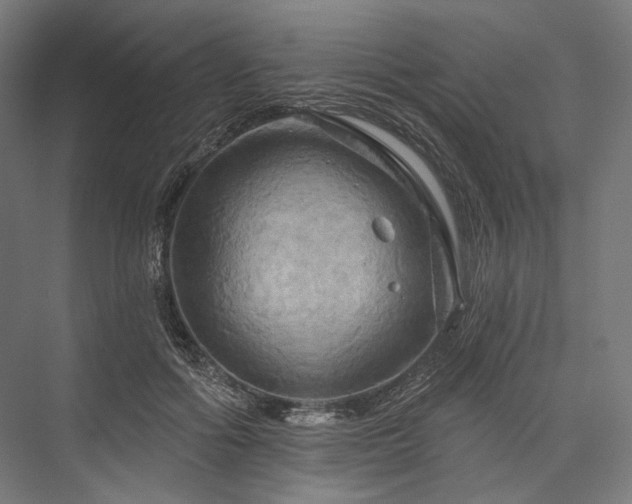 X0000076380602200610061126