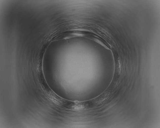 X0000076380604200610061126