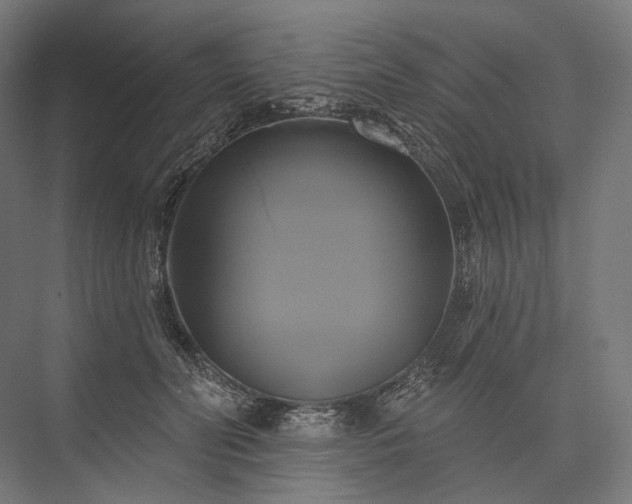 X0000076380606200610061126