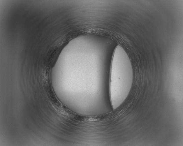 X0000076380607200610061126