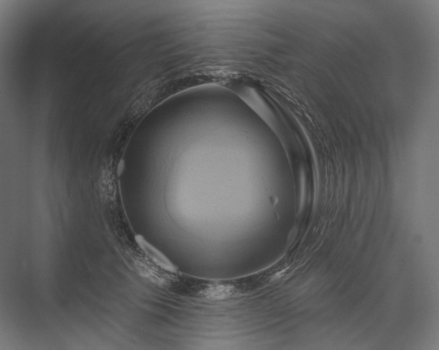 X0000076380609200610061126