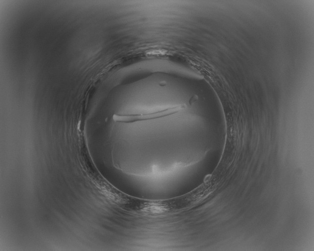 X0000076380610200610061126