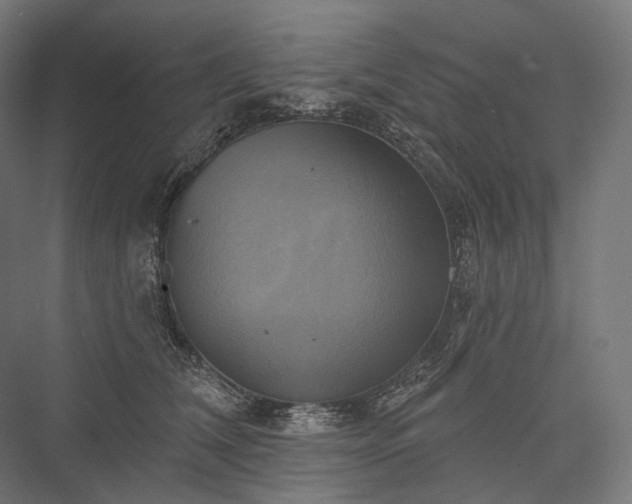 X0000076380612200610061126