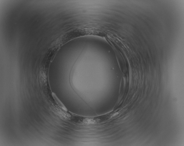 X0000076380613200610061126