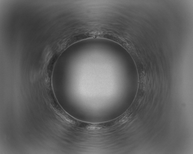 X0000076380614200610061126