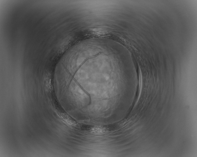 X0000076380615200610061126