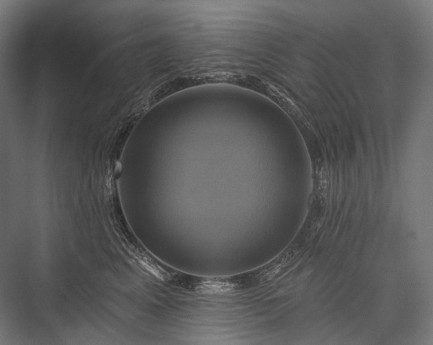 X0000076380617200610061126