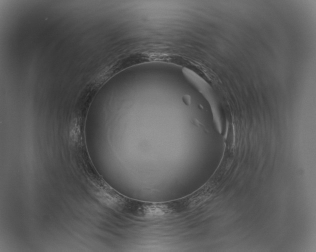 X0000076380618200610061126