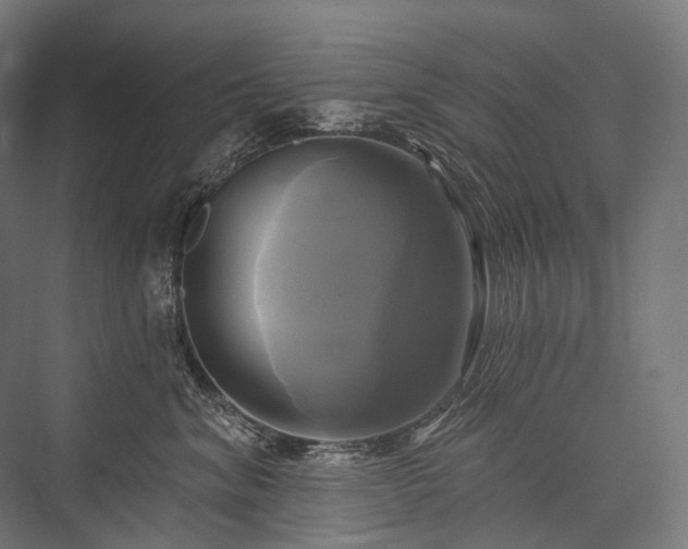 X0000076380620200610061126