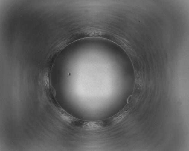 X0000076380622200610061126