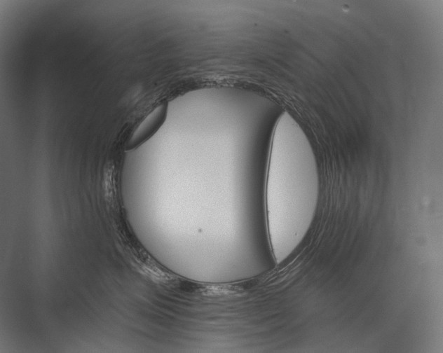 X0000076380623200610061126