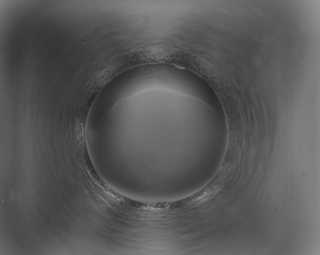 X0000076380624200610061126