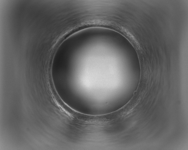 X0000076380625200610061125