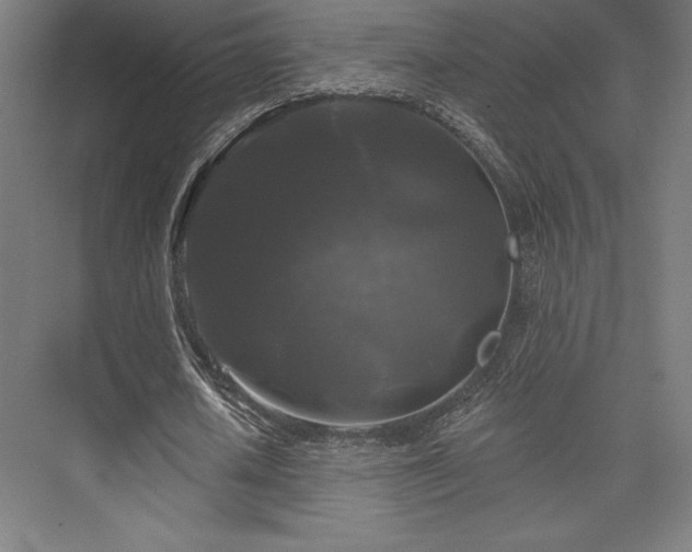 X0000076380626200610061125