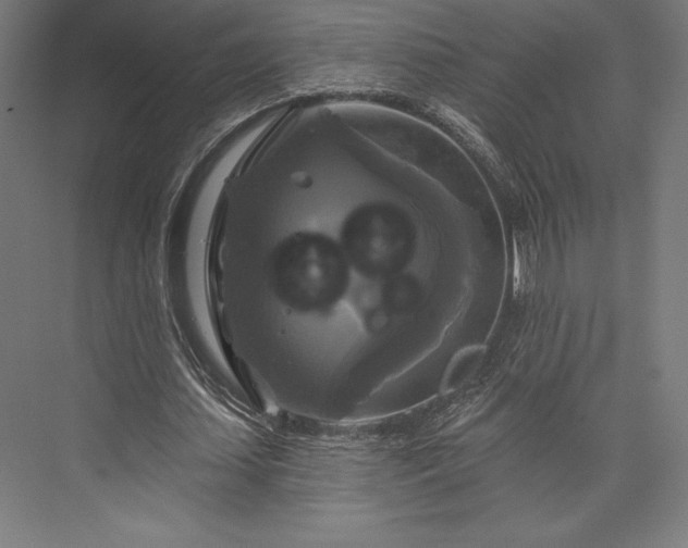 X0000076380627200610061125