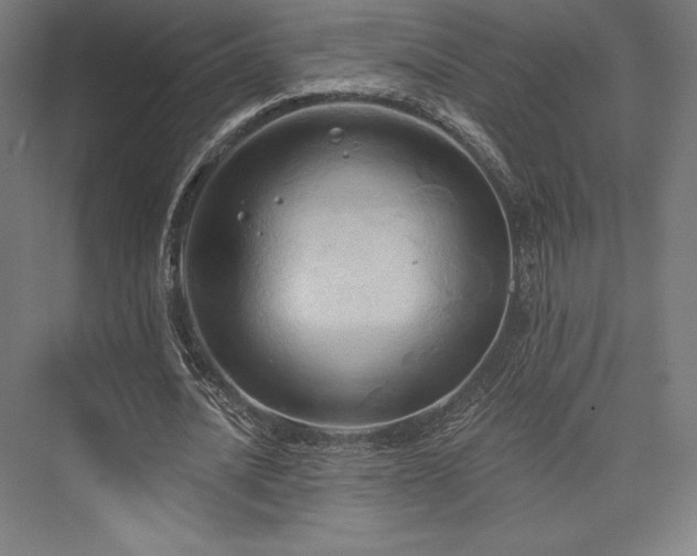 X0000076380628200610061125