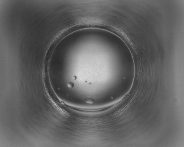 X0000076380629200610061125