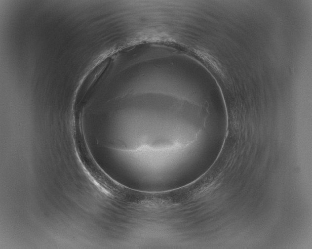 X0000076380630200610061125