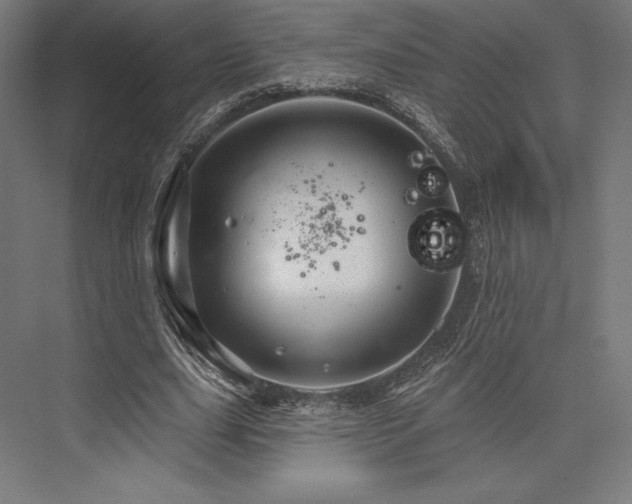 X0000076380631200610061125