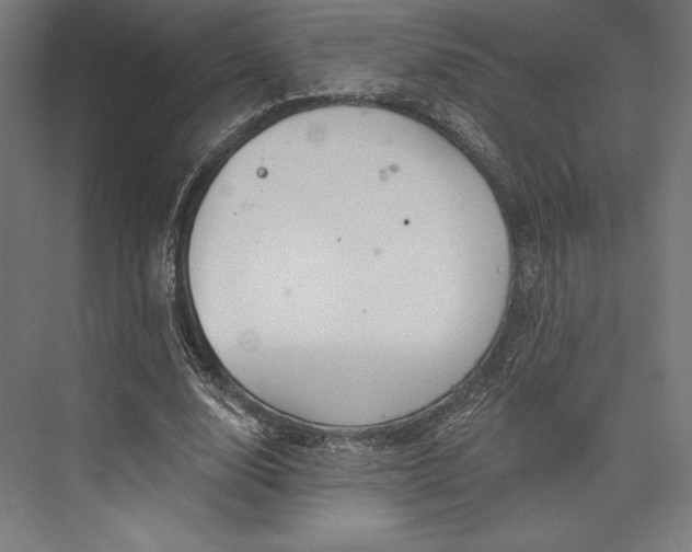 X0000076380632200610061125