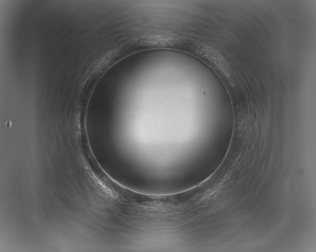 X0000076380633200610061125