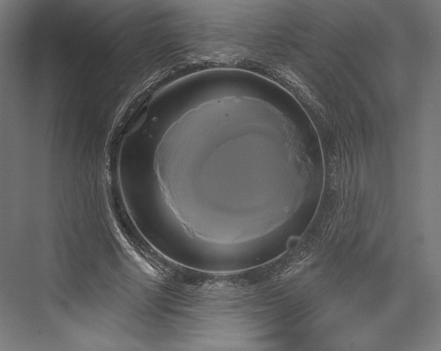 X0000076380634200610061125