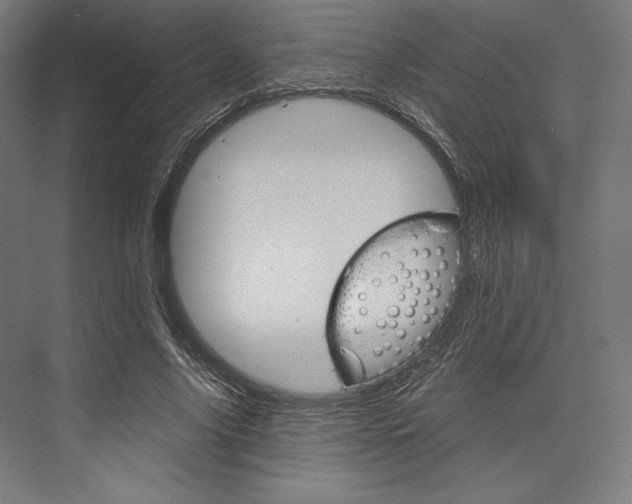 X0000076380635200610061125